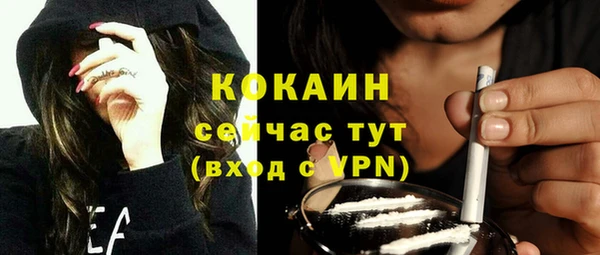 тгк Абаза