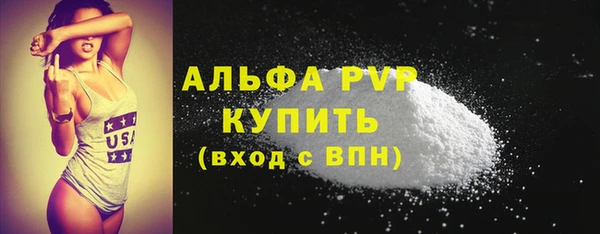 тгк Абаза