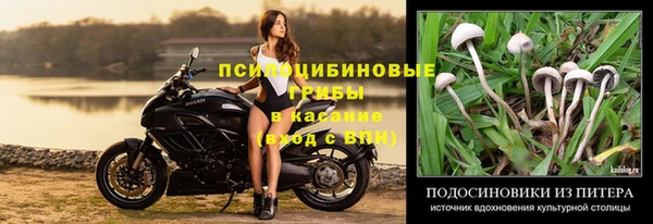 тгк Абаза