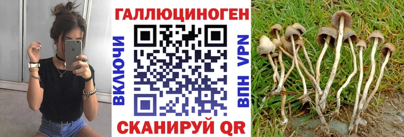 Галлюциногенные грибы мухоморы  Саранск 