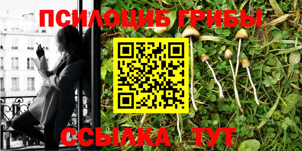 Галлюциногенные грибы GOLDEN TEACHER Саранск