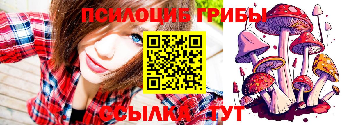 Саранск  Галлюциногенные грибы ЛСД  Вход с VPN 